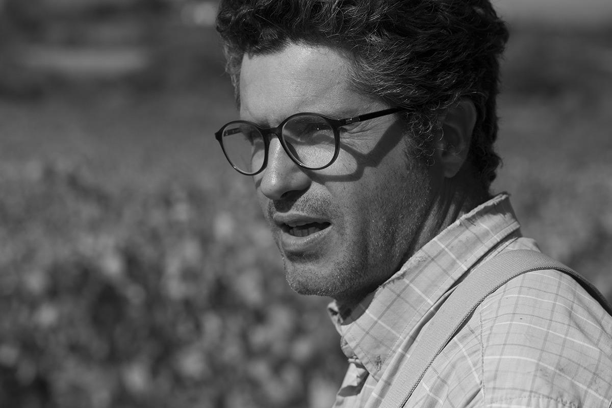 DOMAINE MONT DE MARIE