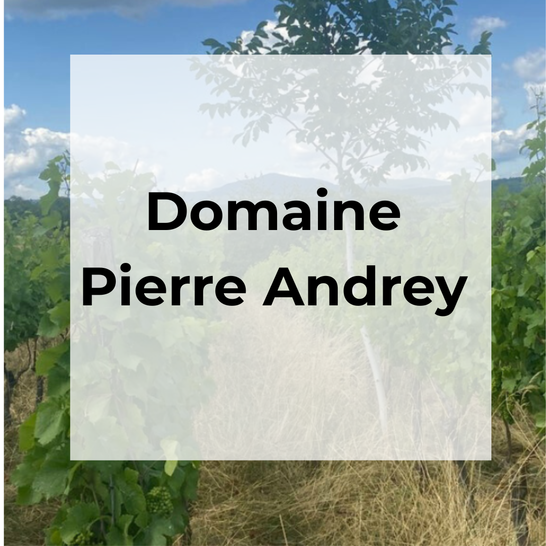 DOMAINE PIERRE ANDREY