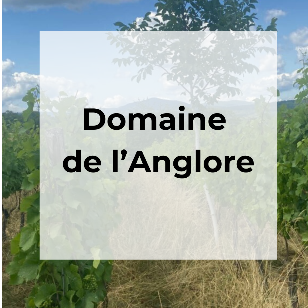 DOMAINE DE L’ANGLORE