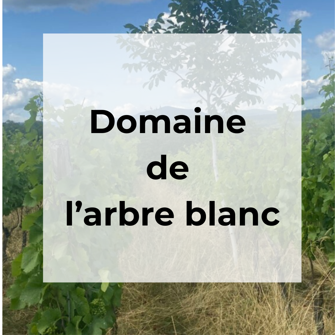 DOMAINE DE L'ARBRE BLANC