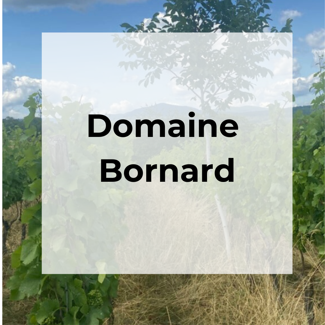 DOMAINE BORNARD