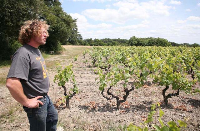 DOMAINE BENOIT COURAULT