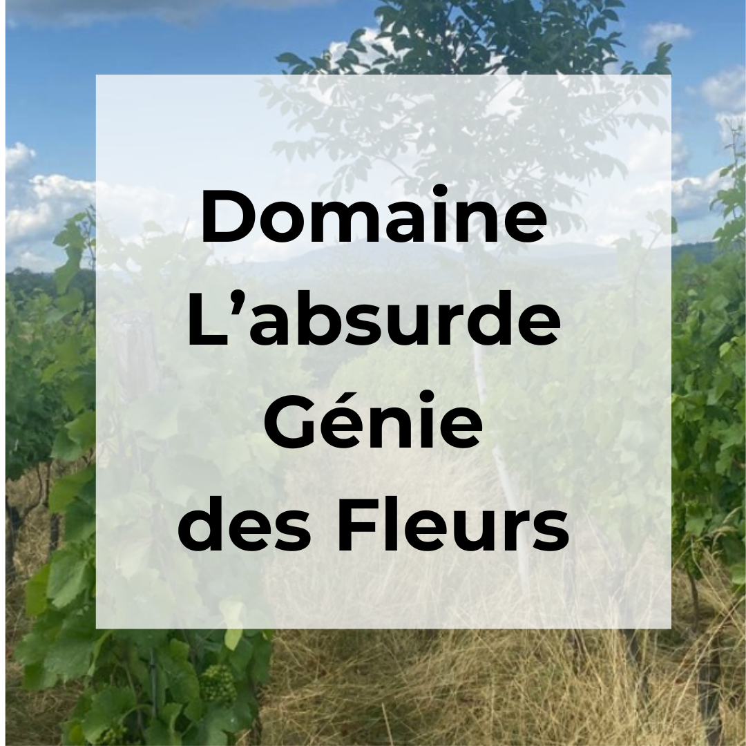 DOMAINE L'ABSURDE GENIE DES FLEURS
