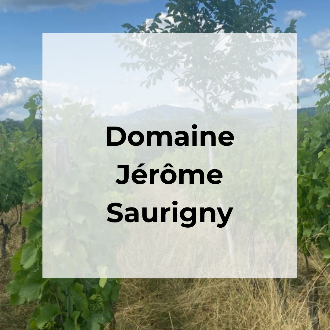 DOMAINE JEROME SAURIGNY