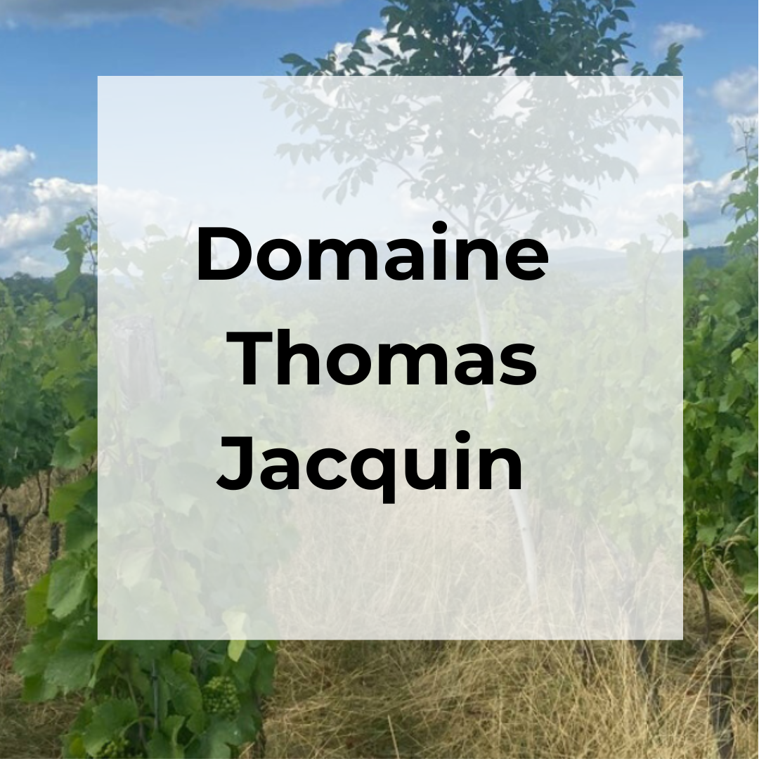 DOMAINE THOMAS JACQUIN