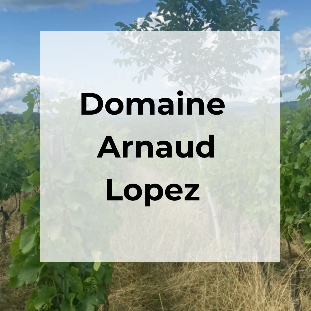 DOMAINE ARNAUD LOPEZ