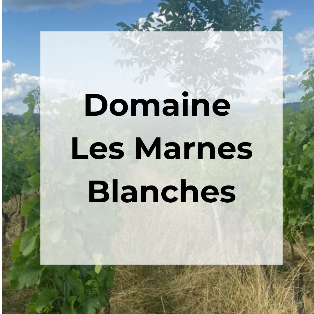 DOMAINE LES MARNES BLANCHES