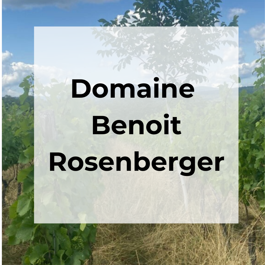 DOMAINE BENOIT ROSENBERGER