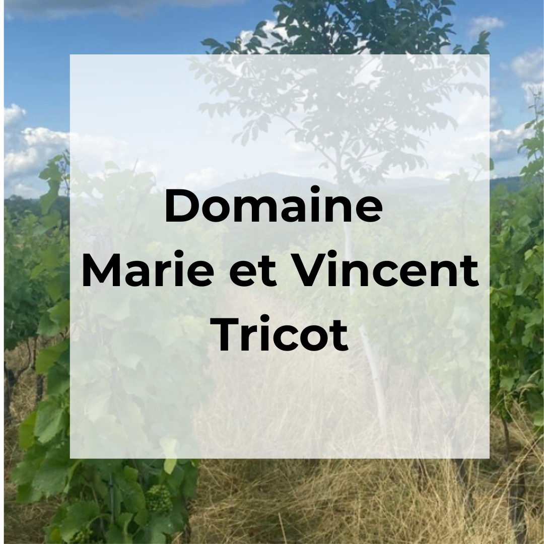 DOMAINE MARIE ET VINCENT TRICOT