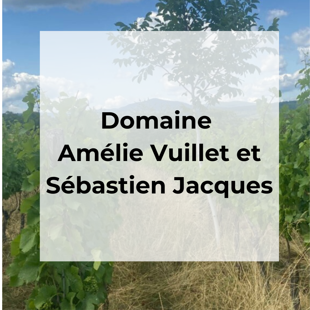 DOMAINE AMELIE VUILLET ET SEBASTIEN JACQUES