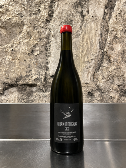 Coteaux bourguignons, 2022, Rouge