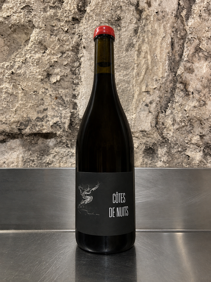 Côtes de nuits, 2022, Rouge