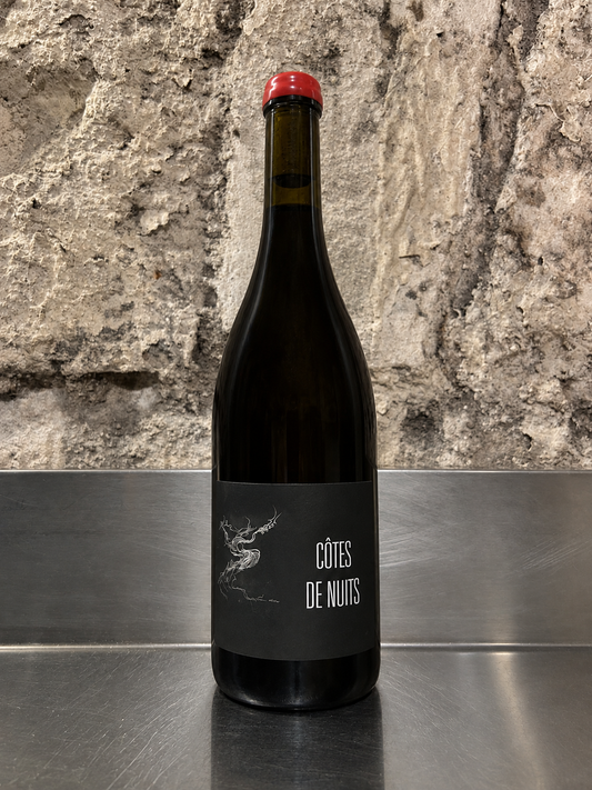 Côtes de nuits, 2022, Rouge