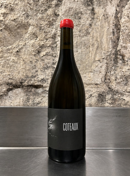 Coteaux bourguignons, 2022, Rouge