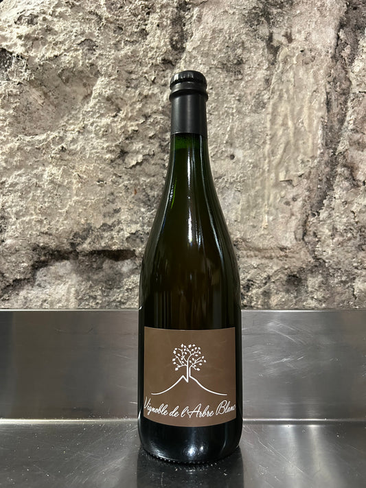 Les fesses, 2021, Orange