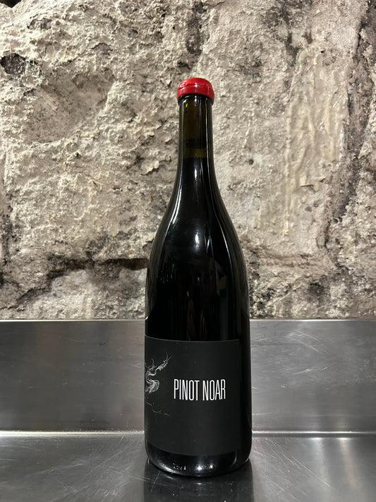 Hautes-côtes de nuits, 2023, Rouge